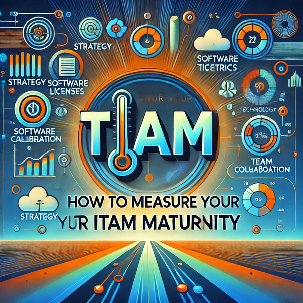 measure your ITAM maturity